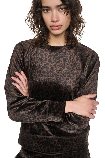 Espresso Leopard Print DKNY VELOUR ANIMAL PRINT PULLOVER