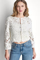 Eggnog